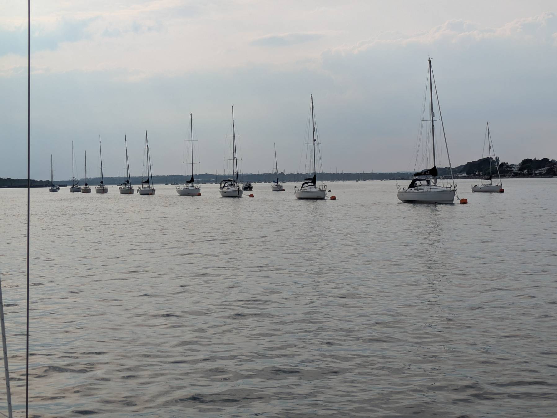 Light breeze harbour sail_9D295395-1991-4343-9103-B8A5E78A2DFD