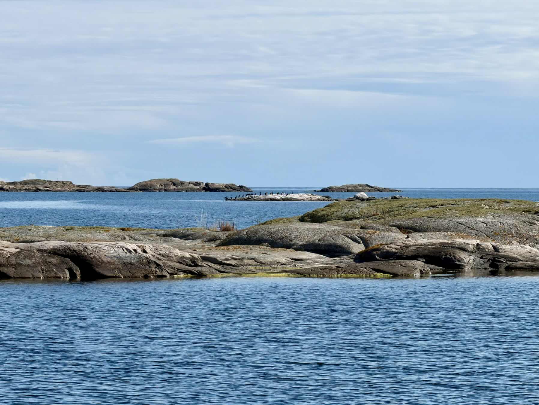 To Hasselö from Gryts Varv_656813F7-8994-4BF8-ABA8-07F5015A2C9F