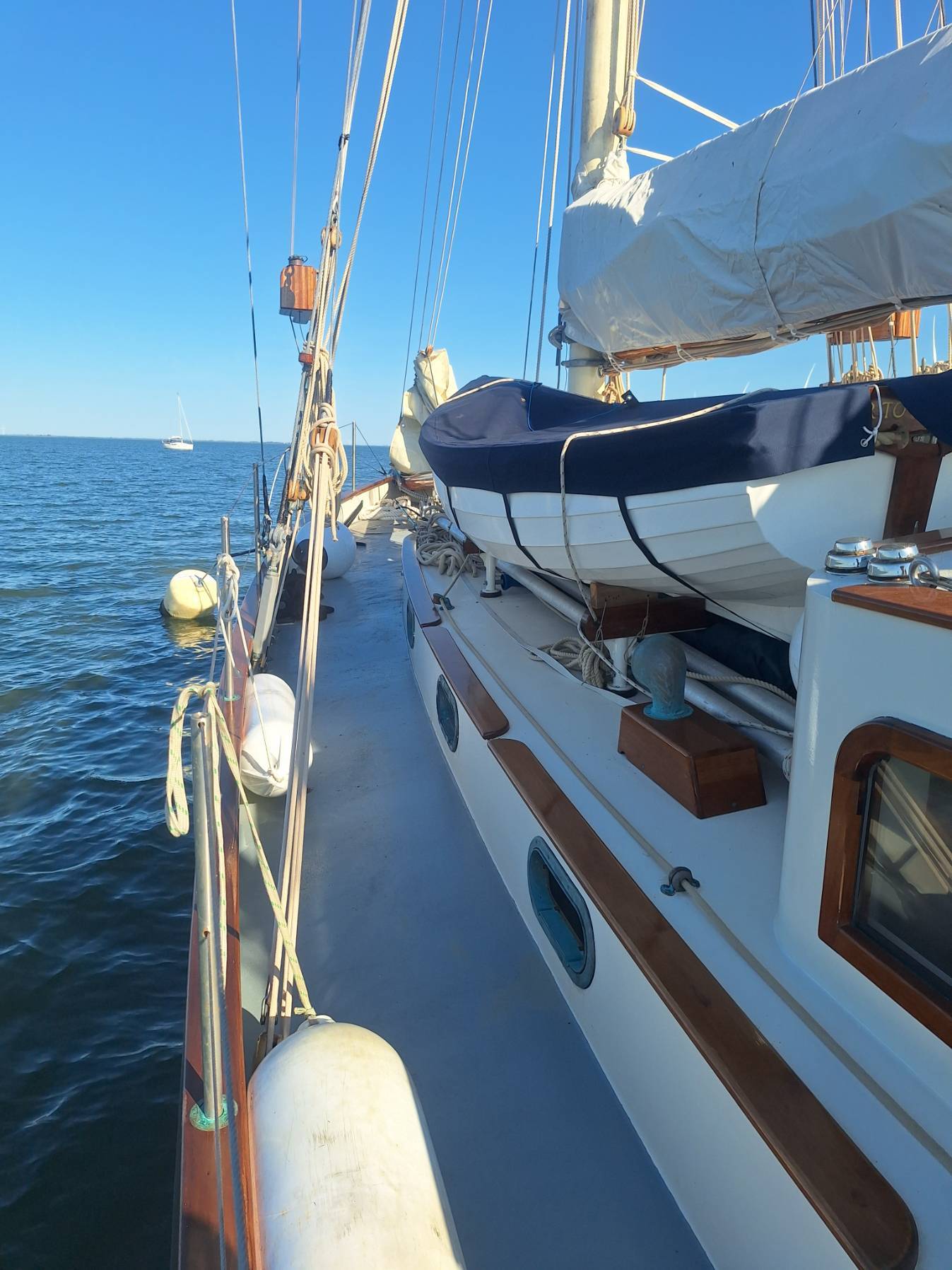 Watching the eclipse at anchor_325ACA52-6DBD-42C7-A6AF-59DD4CAB20D8