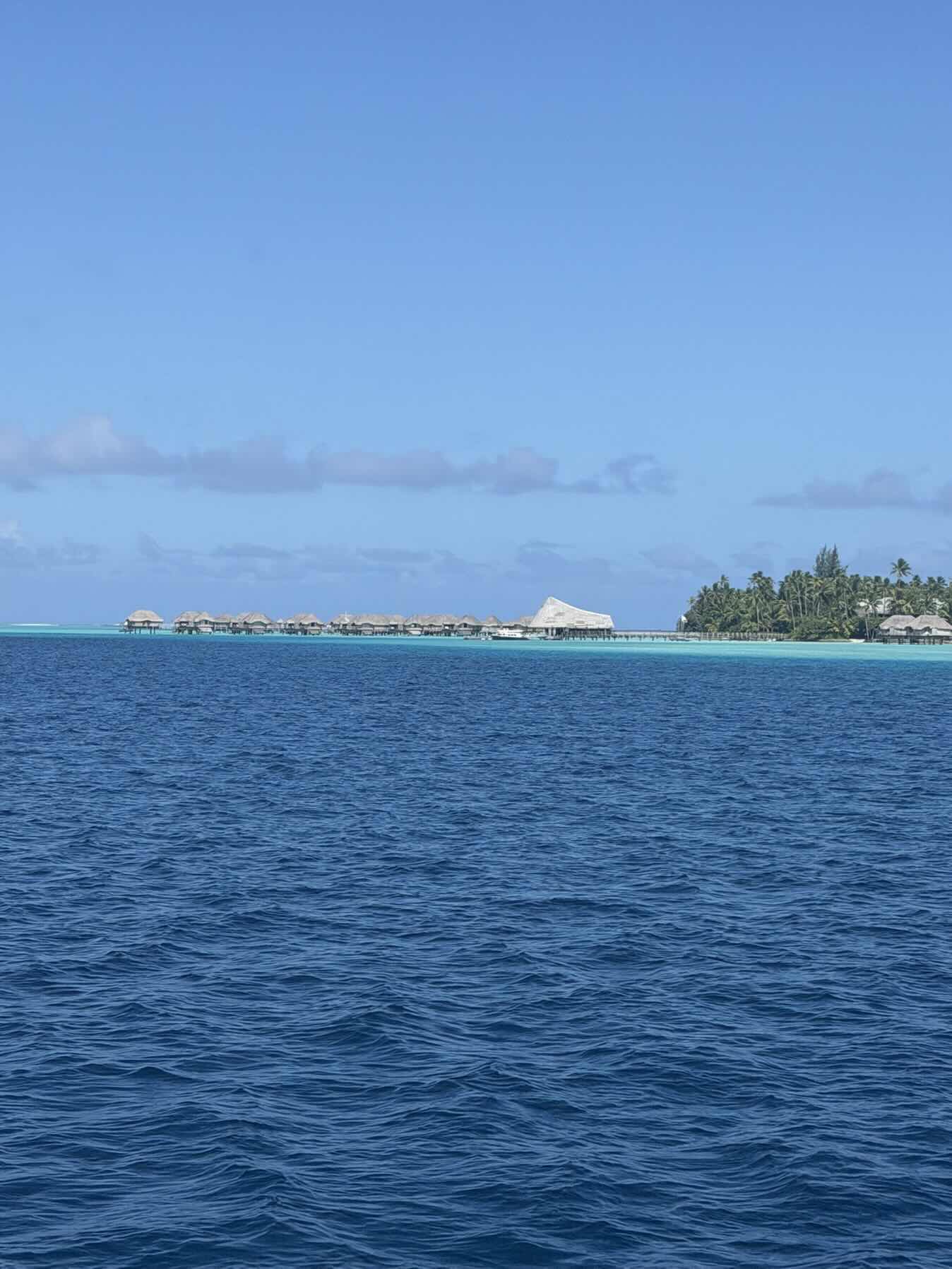 Day 6 Tahiti Ta Ta_A71FE329-8D3B-44D0-BC95-5C6D6E604D6B