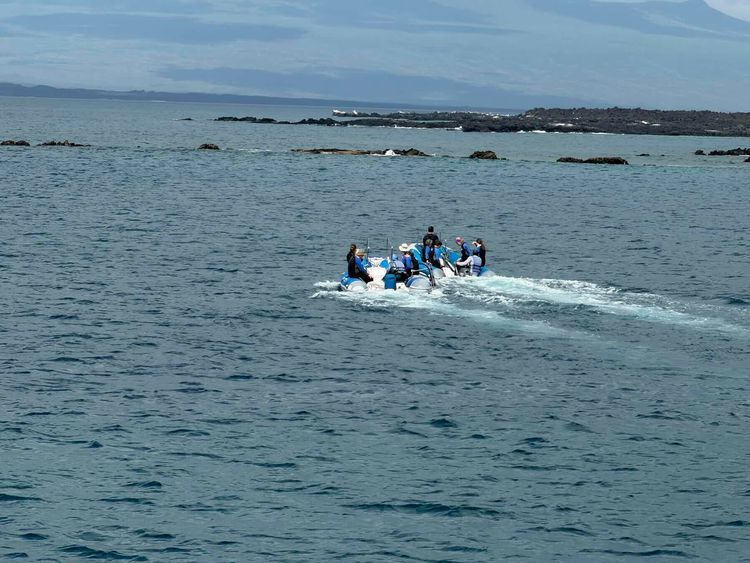 Voyage photo from Tagus Cove, Isabela to Punta Espinosa, Fernandina 