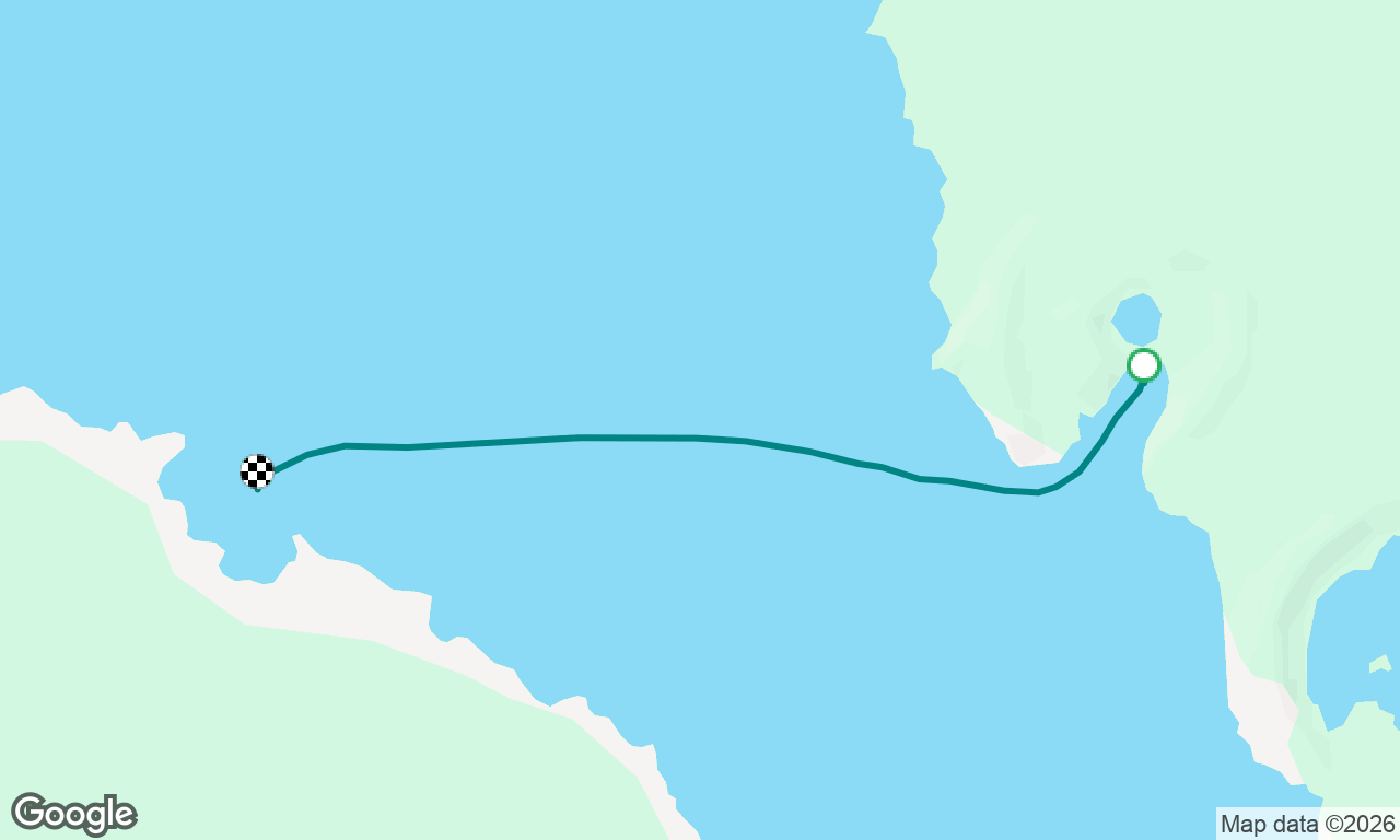 Tagus Cove, Isabela to Punta Espinosa, Fernandina 