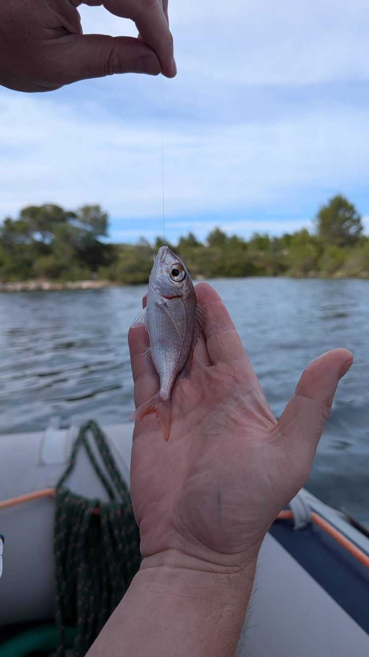 Voyage photo from Fishing
