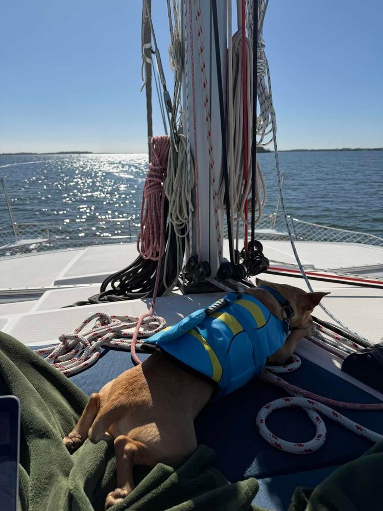 Voyage photo from Ft. Pierce to West Palm Beach 