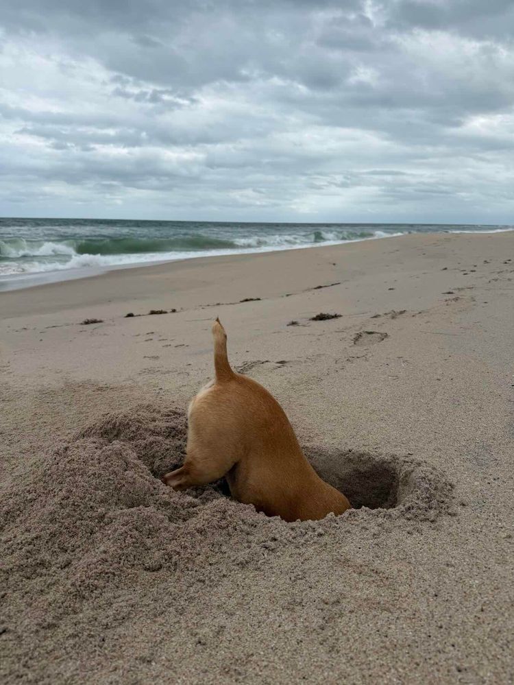 Voyage photo from Ft. Pierce to West Palm Beach 