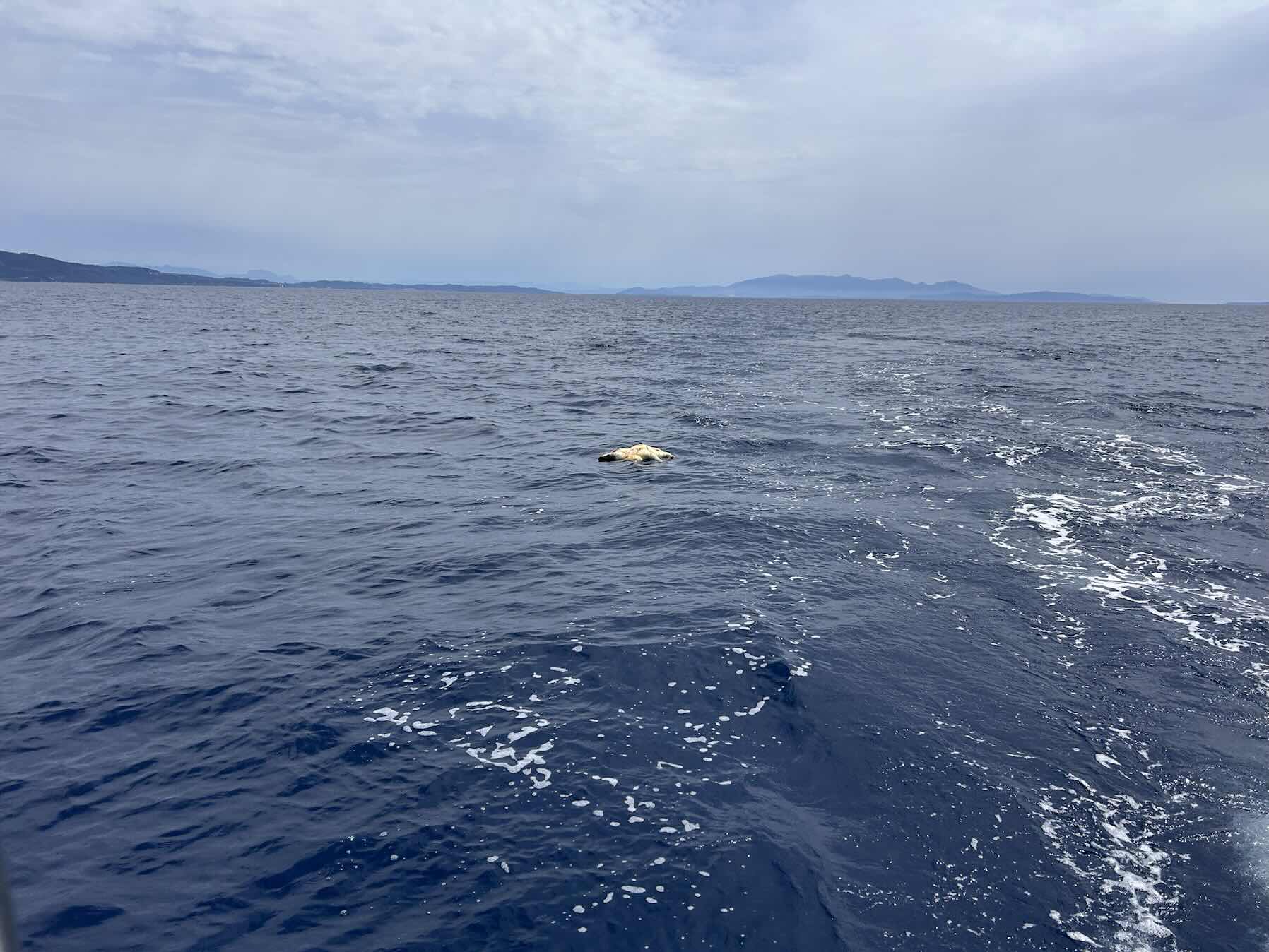 Voyage_F5EF11C1-1152-4583-9B66-442EA5BF8843