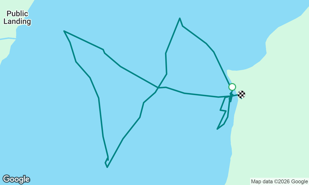 Sunfish sailing