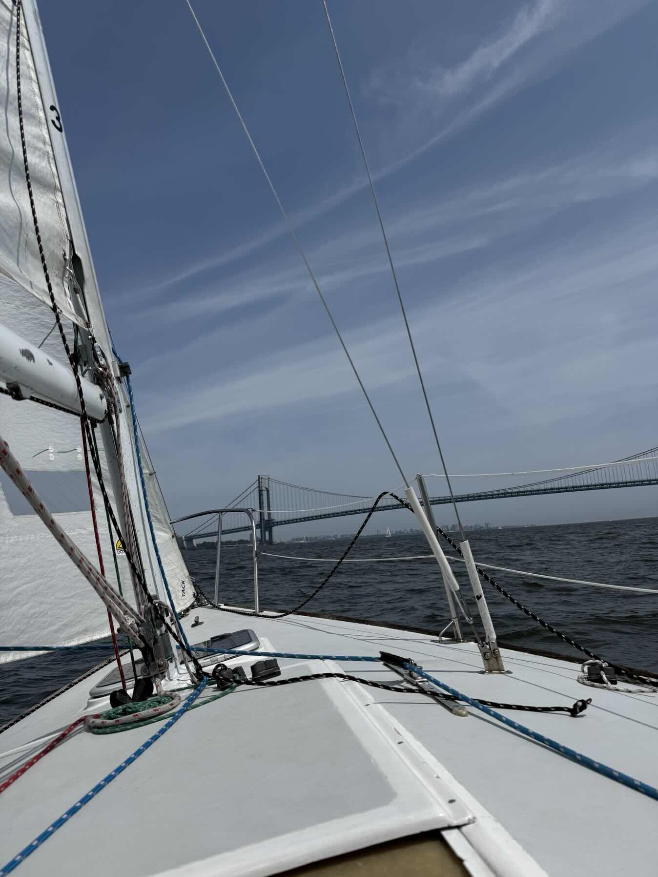 Verrazzanno with Spinnaker_ECEB64DB-BEB7-422C-83AC-0417FF905831