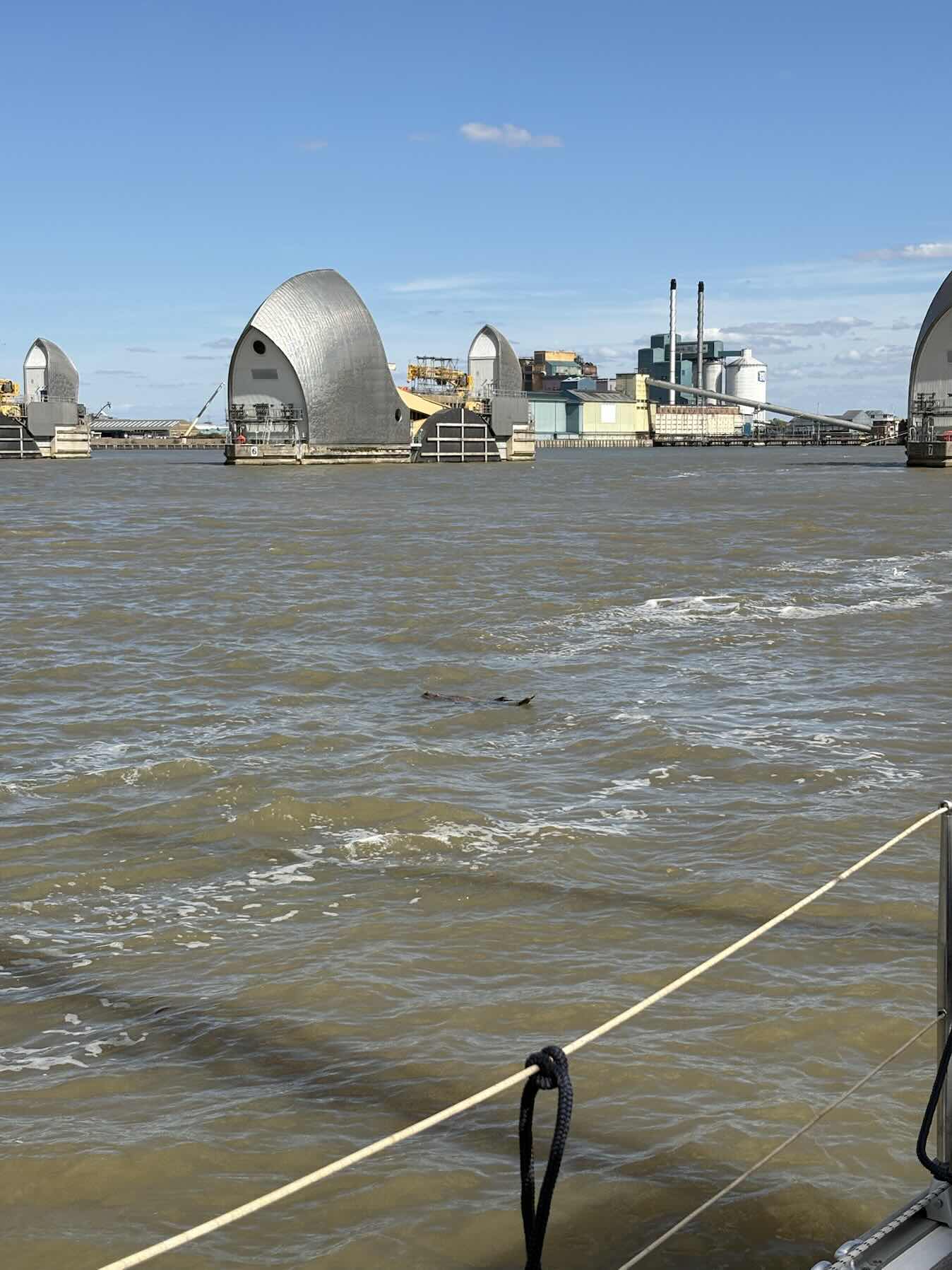 Leaving Tidal Thames_A4C34466-20D4-4960-B8CC-C1195CCC00D1