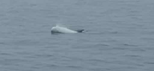 Motor sail to Fowey_C5CD9F9B-910D-4928-9076-7A6D903D0FAD