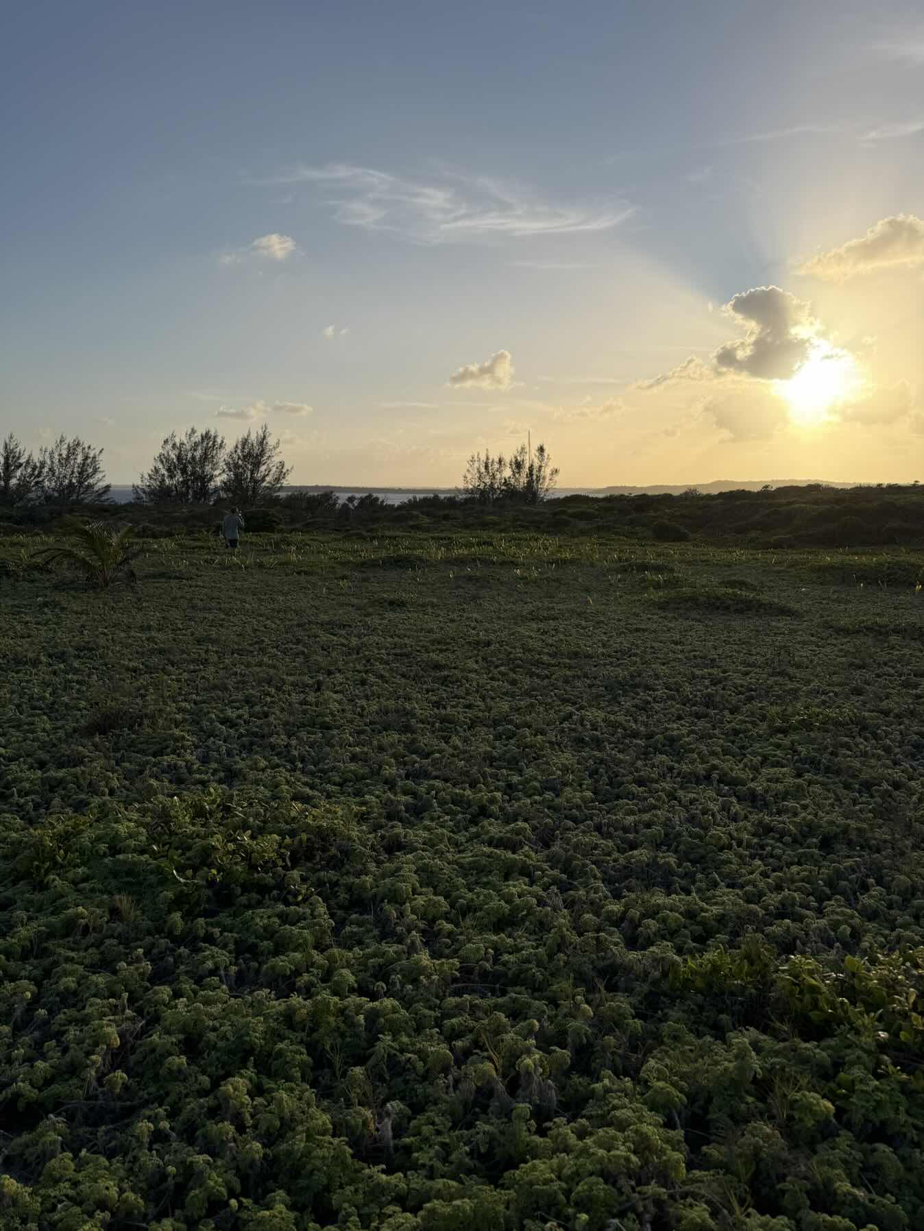 Lynard Cay to Hopetown_B7300C8E-9C99-40D6-B4D6-3FBEC818CABB
