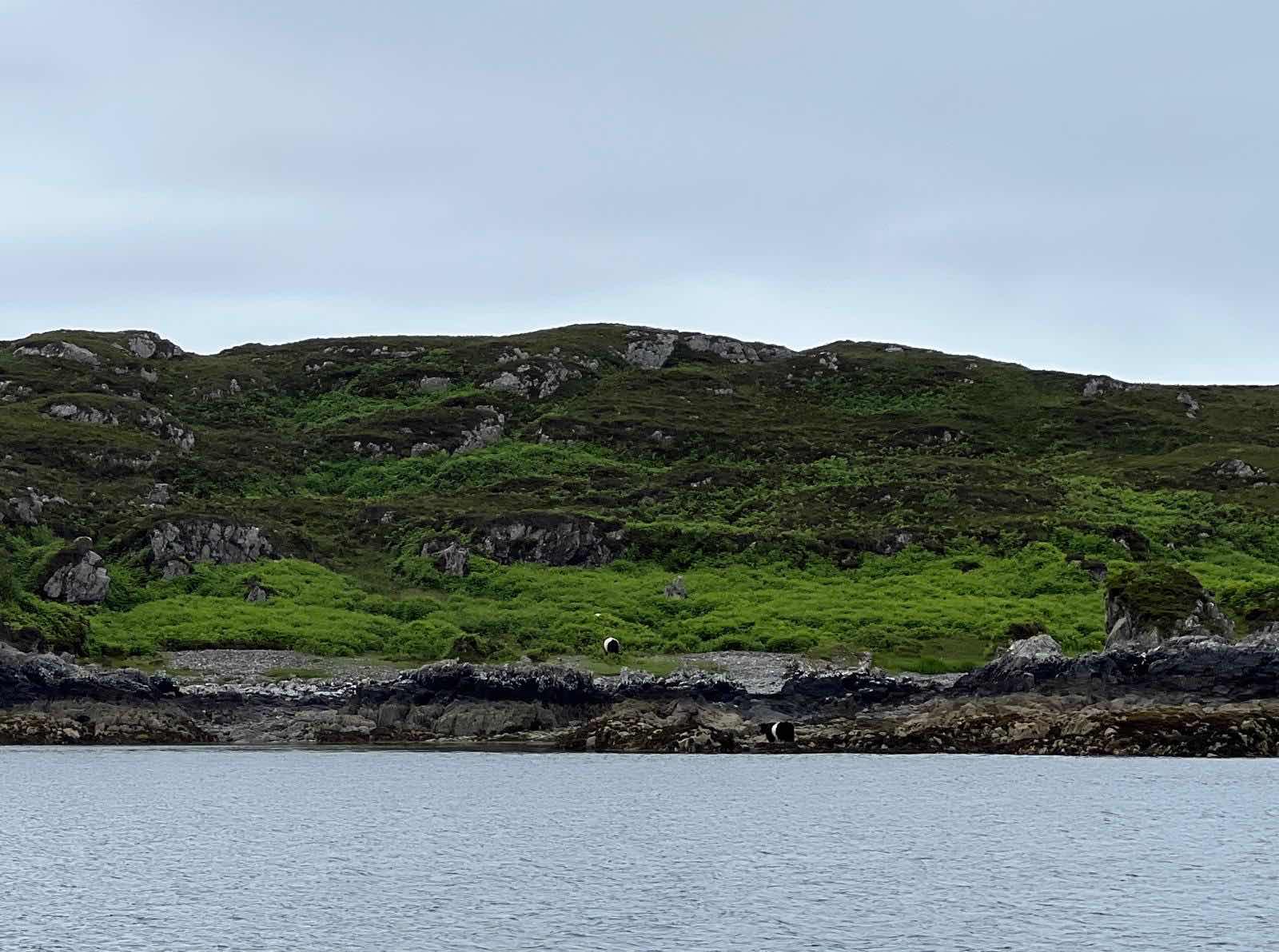 Inverie to Arisaig_09F369F6-DD50-484B-93E0-7D0116765DB1
