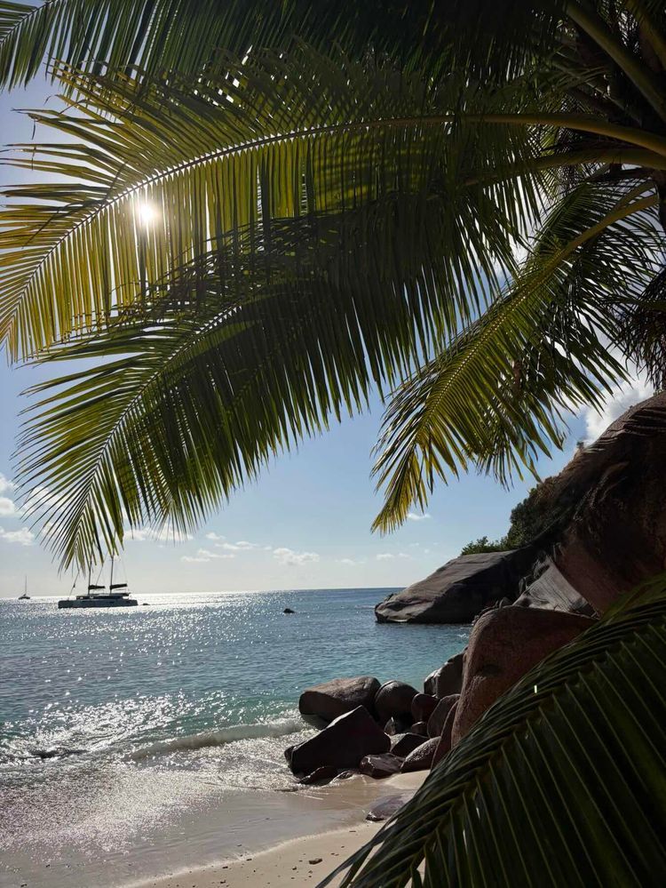 Voyage photo from Silhouette to Praslin