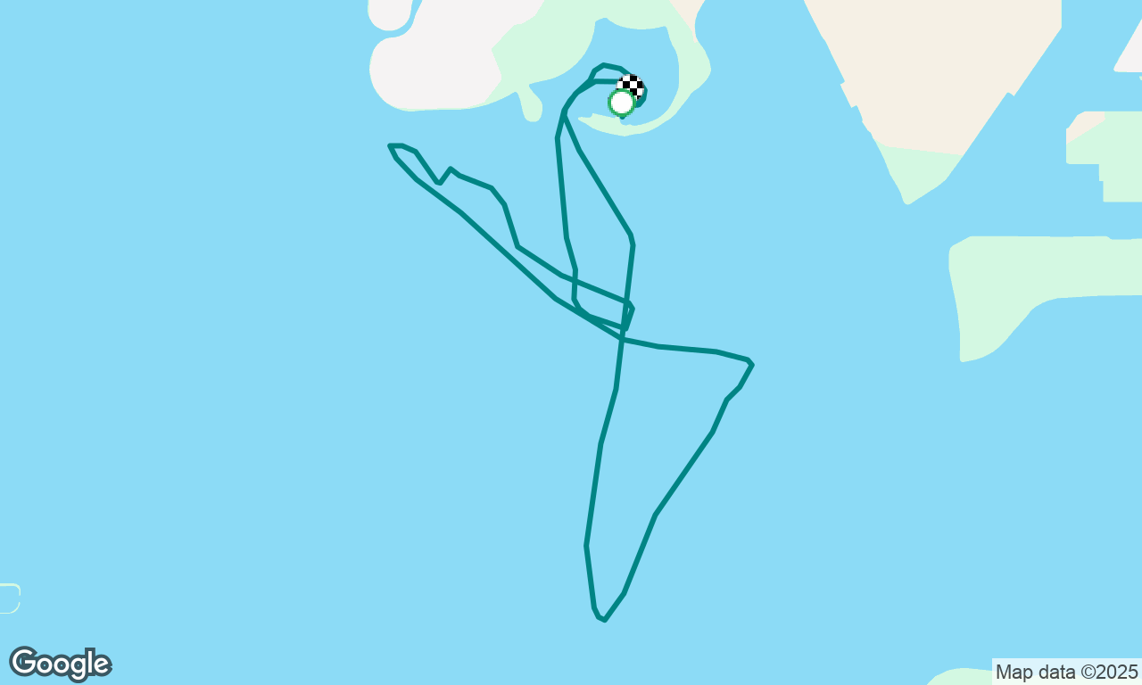 Full Moon Race - DIYC