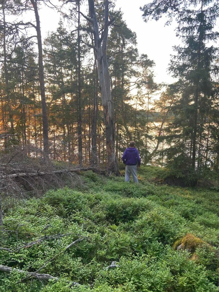 Voyage photo from Day 24, Sailing to Eckero, Aland