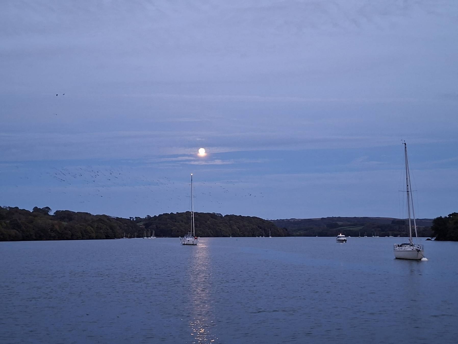 Fridays are for sailing..._2691150E-89B8-4558-A747-6A14A84A6498