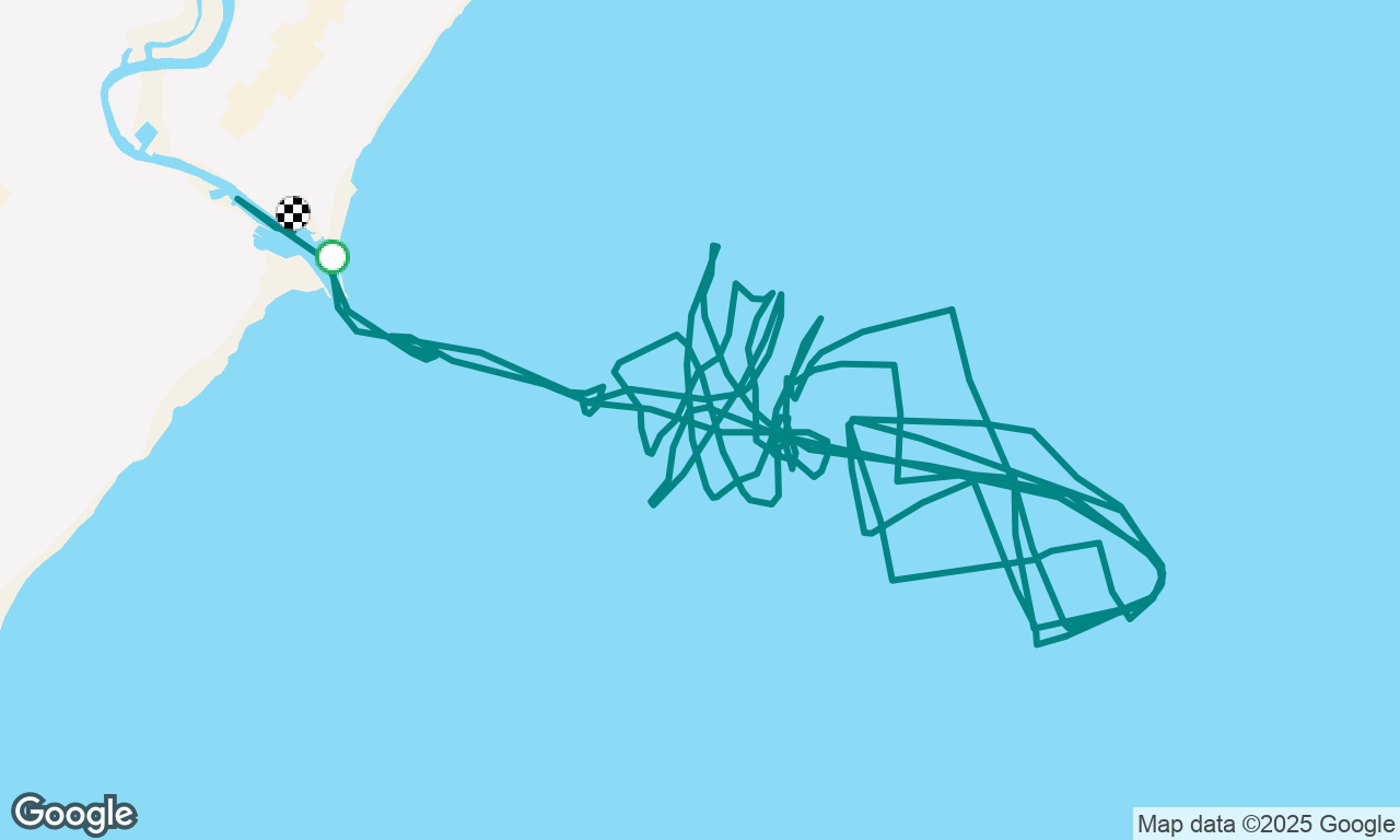 OC regatta 