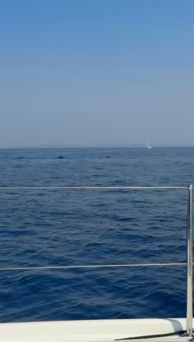 Vela Luka_75DC4AB0-7217-4BA9-9933-469151A0ADE3
