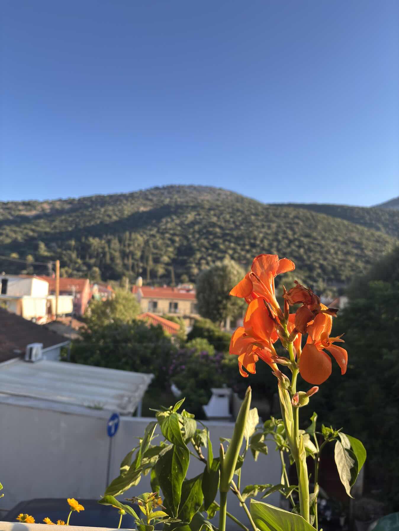 Fiskardo- Agia Effemia_FD33F663-AD40-43AA-9841-D5A412E1F832