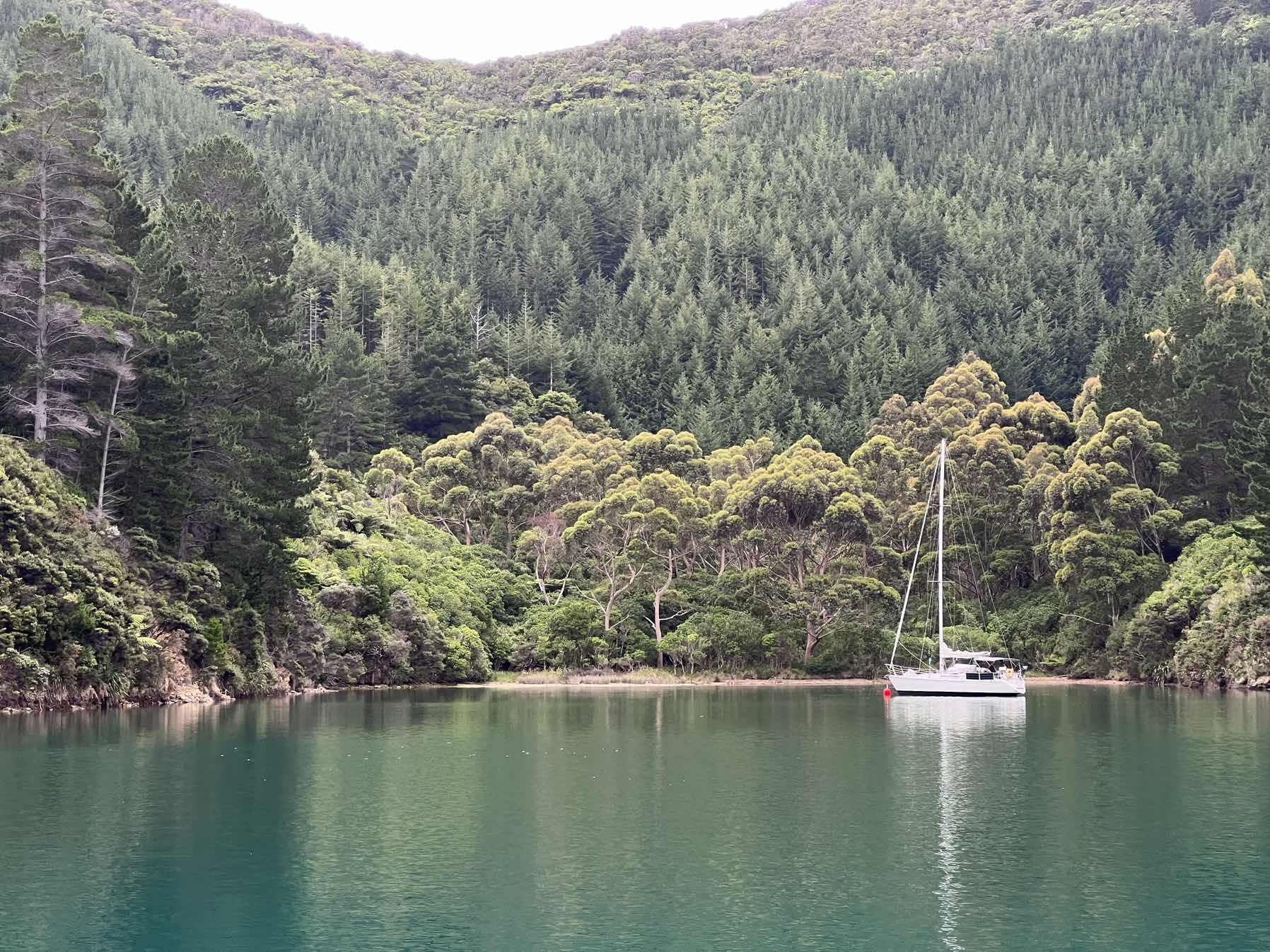 Wellington to Queen Charlotte Sound_87284FAF-4629-4BEE-BCEC-E92EE5D4CA1B