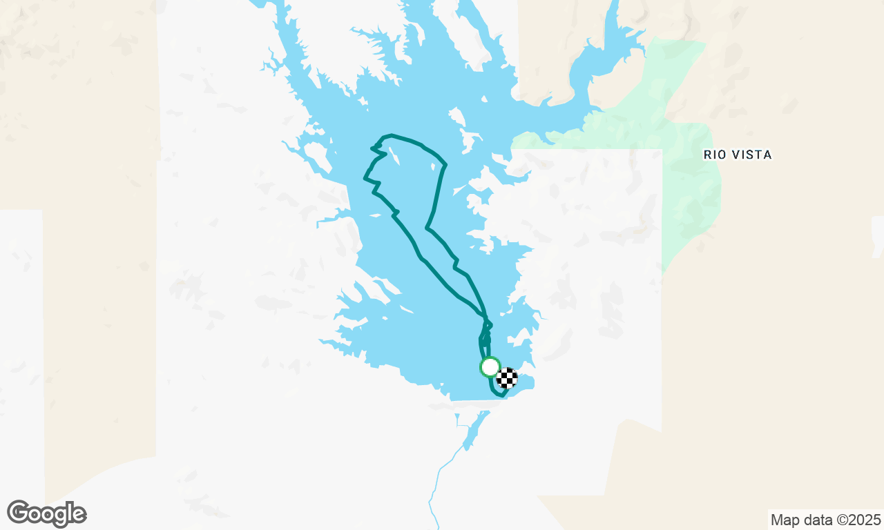 AYC Tall Cactus Regatta