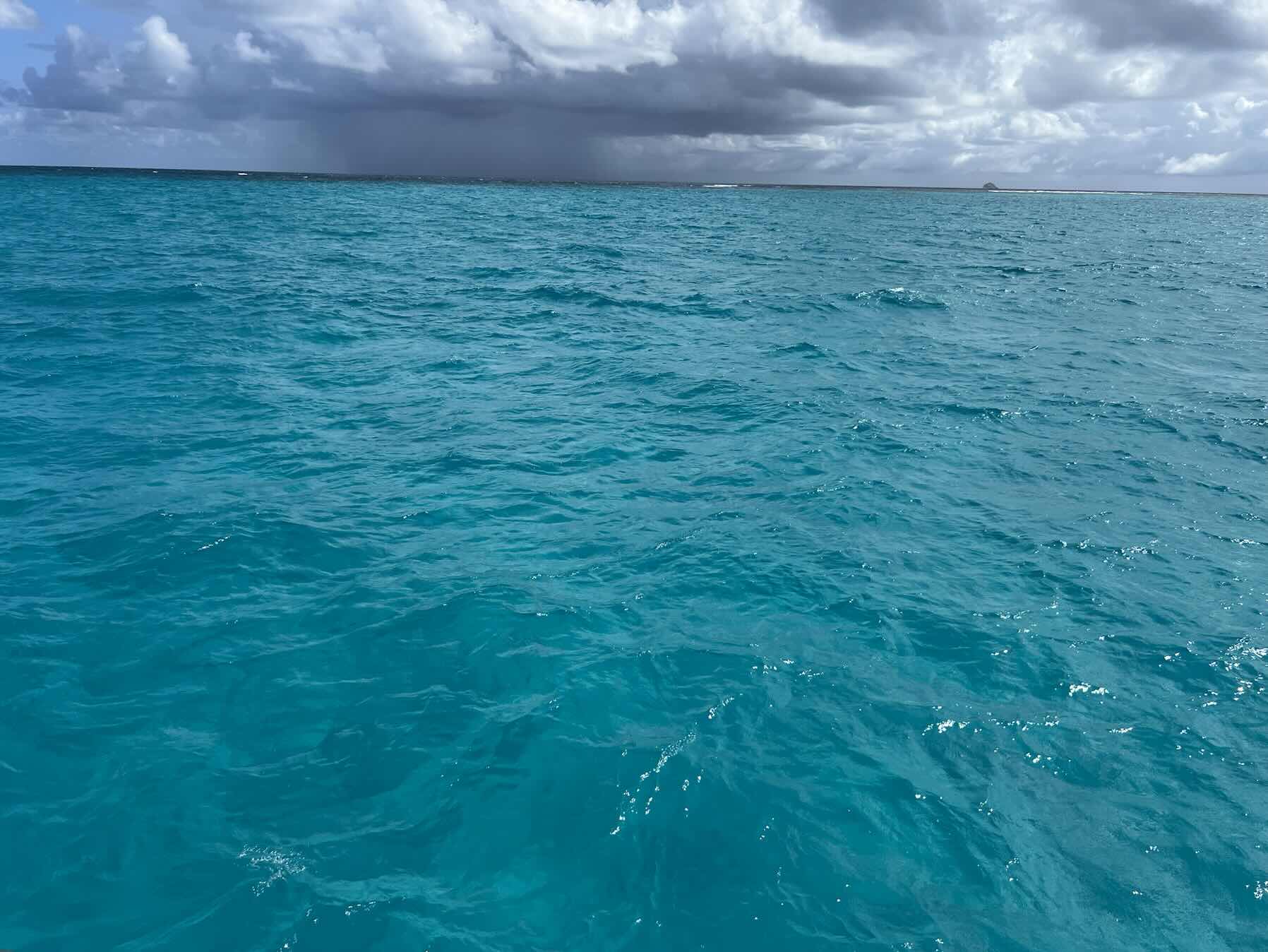Island Hop-Tobago Cays to Marine Park_54C21D0B-17A2-46EA-AD2E-2E868CEA6524