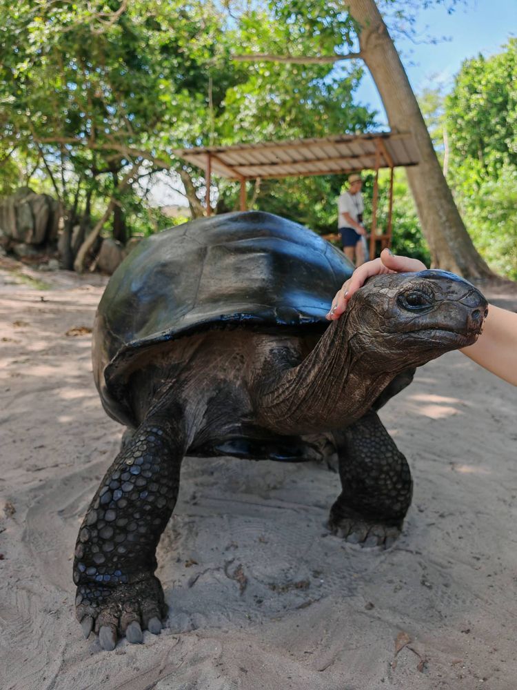 Voyage photo from Seychelles charter