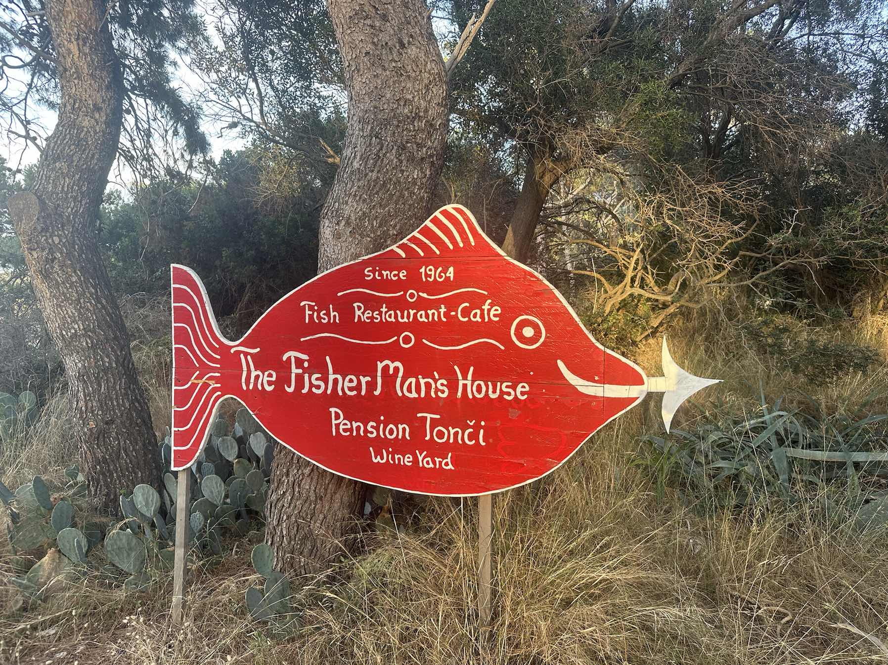 Tacking practice to Fisherman’s.  _F26B0335-8B17-445F-A860-634984FD3DC7