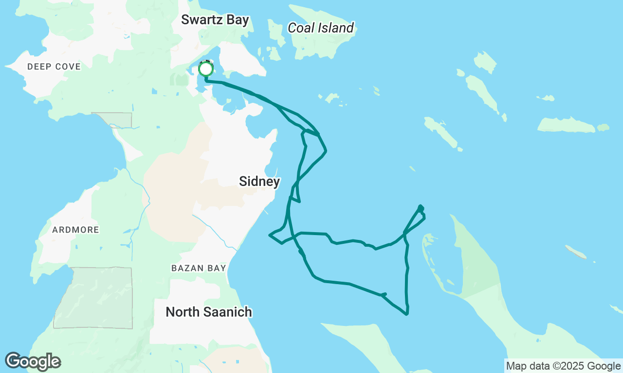 Sydney Day Sail 1