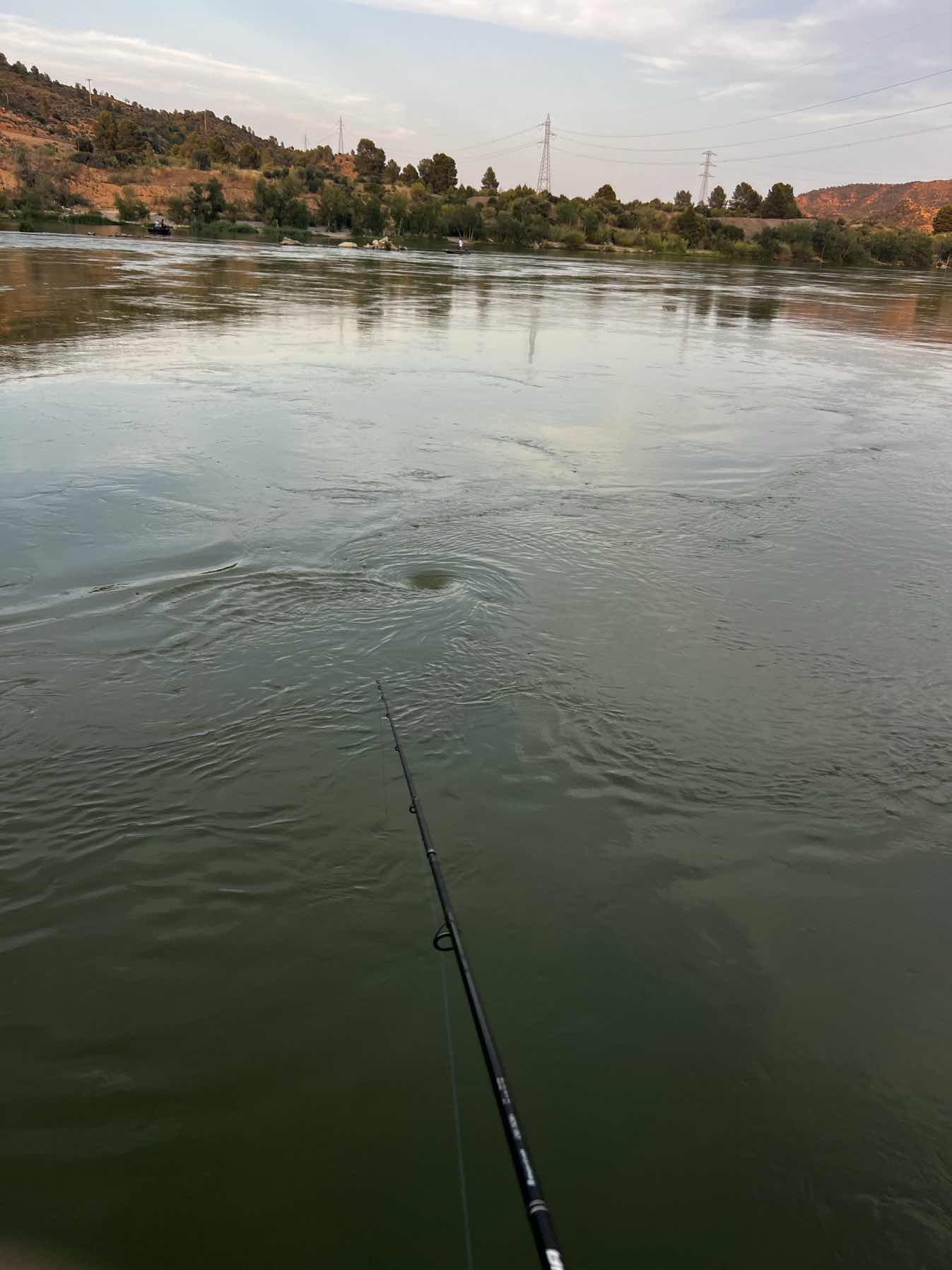 Fishing en Ebro_4BF818DA-9BD5-4466-AF49-80AFB3E375C7