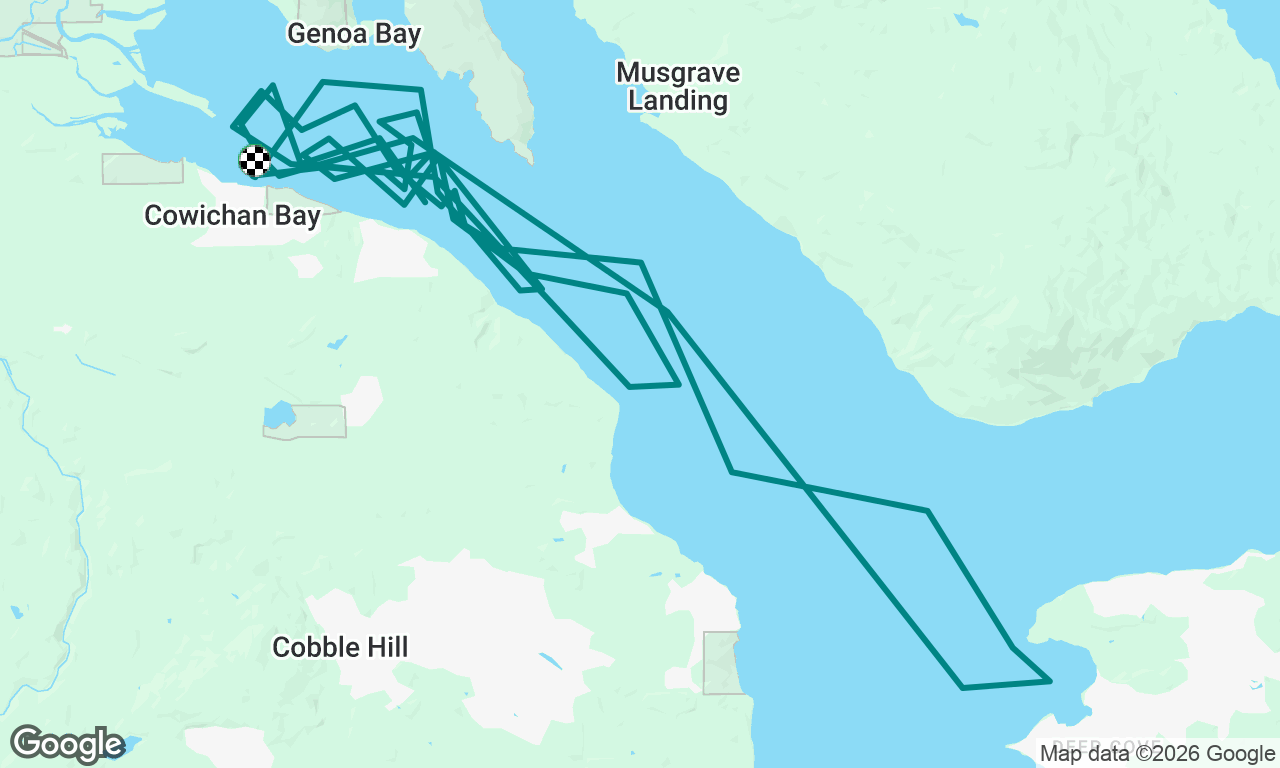 Cow Bay Regatta 