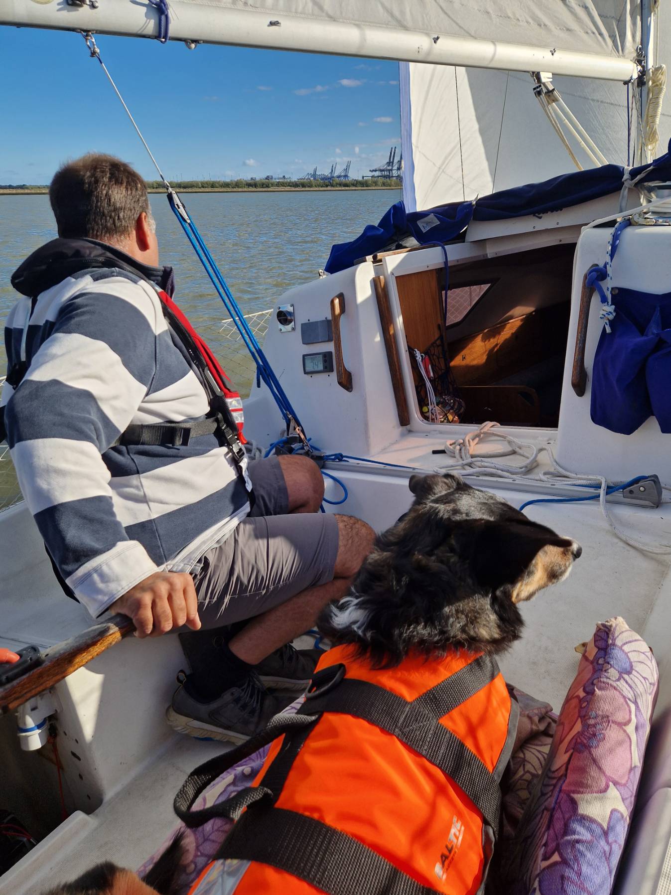 Sunday afternoon sail _E9FD714B-920C-4383-9D3B-4067FBF4FBD2