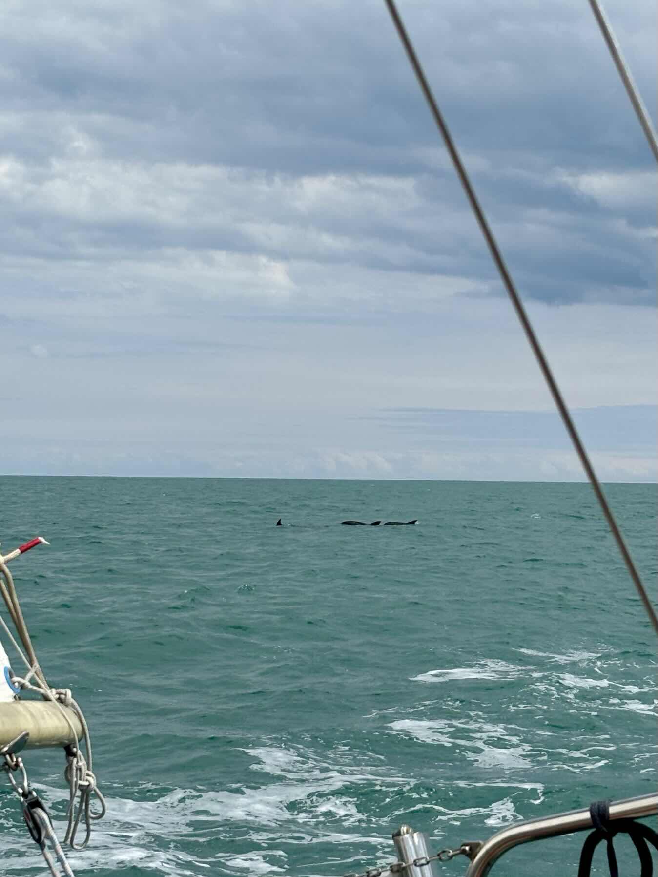 Eastbourne - Brighton_1A3135B6-2117-4F80-8435-F9311A7D0C30
