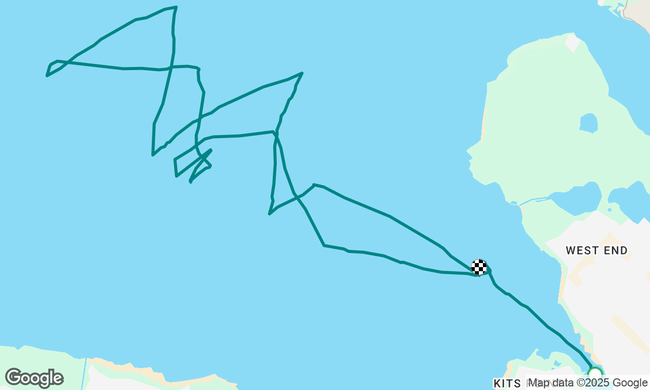 Morning Sail with Orcas and Albacore