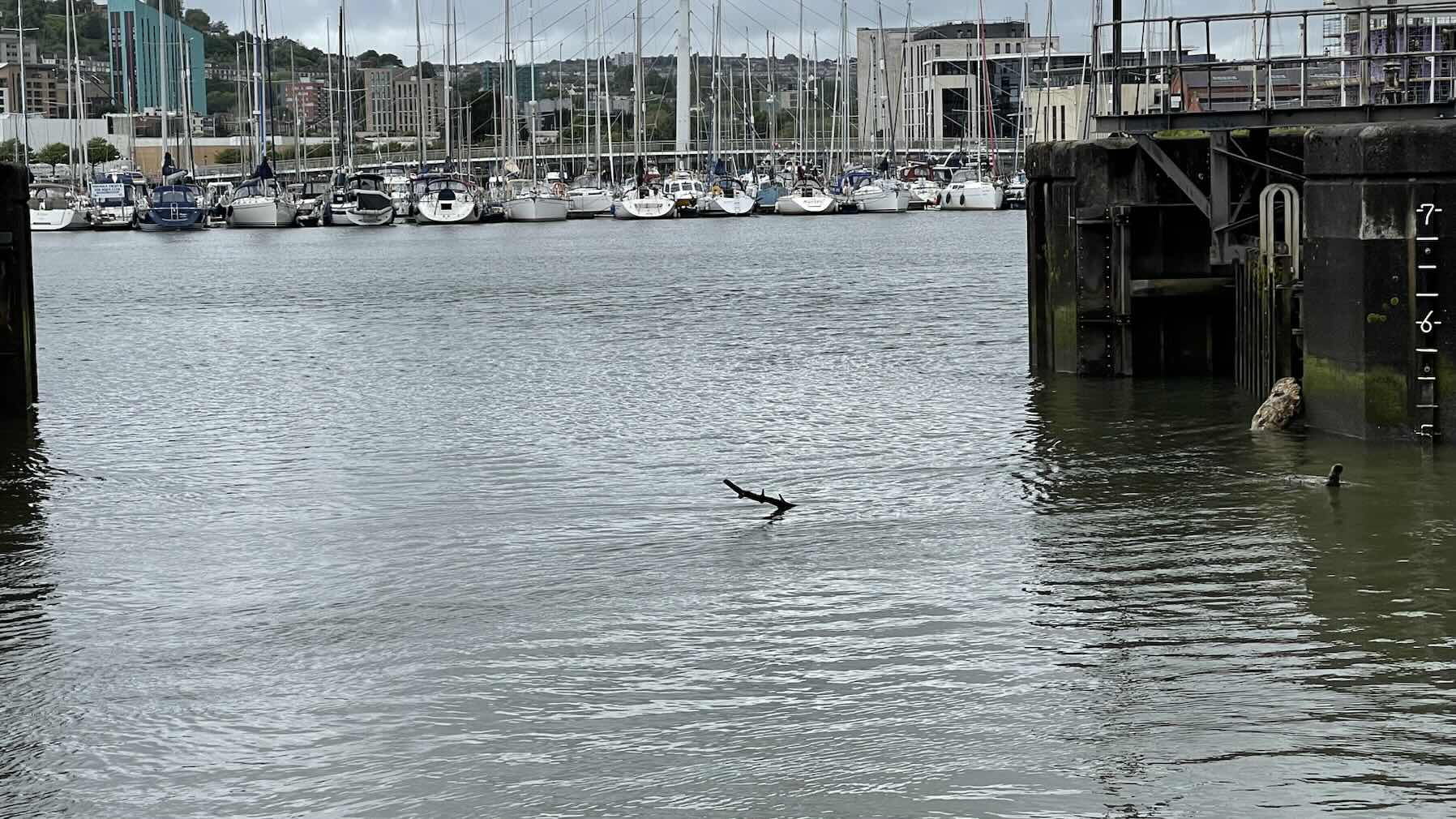 JLPSC 75th Ilfracombe to Swansea_966AAC96-5CAF-4C68-BF09-DDC297AD1E5B