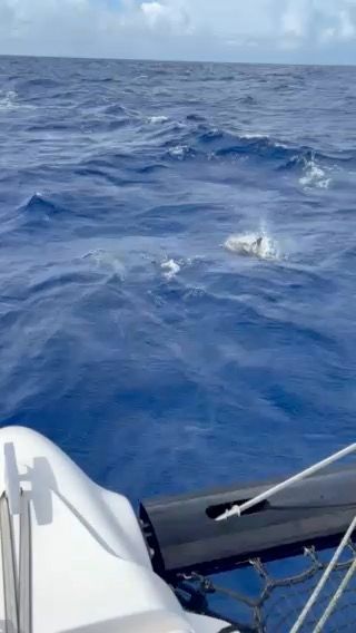 Voyage photo from Arrecife Lanzarote to Port St Charles Barbados