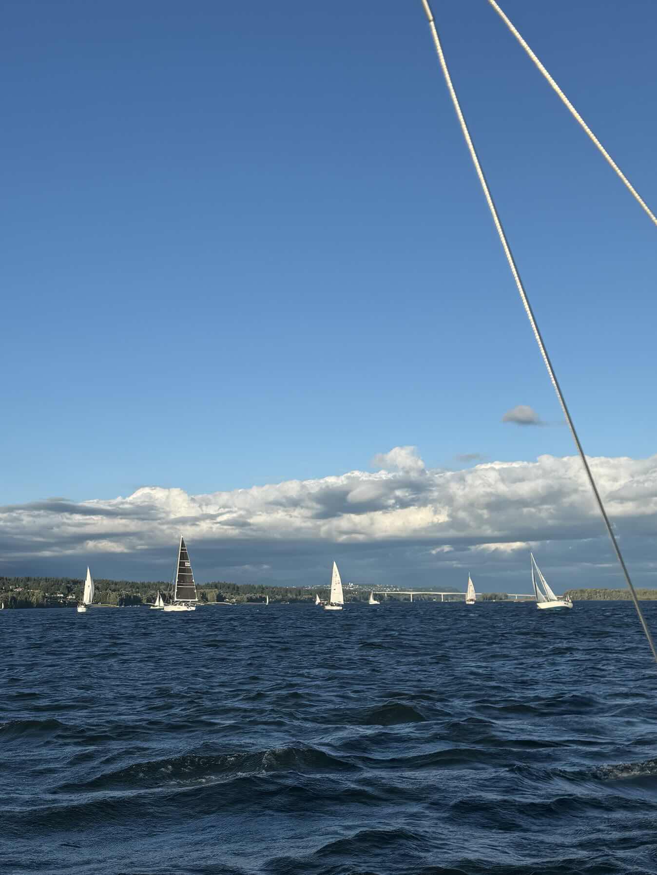 ISC Community Sail_DF1100AB-FD6C-4BF8-B454-2786B176B958