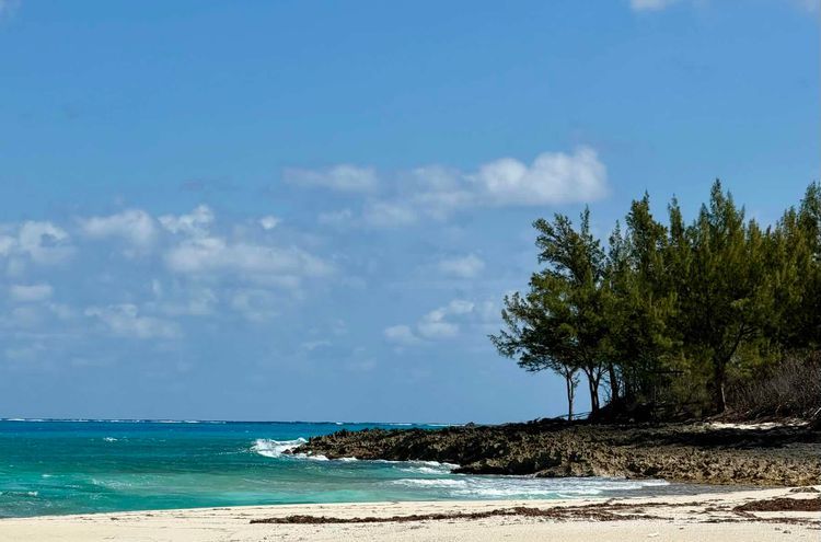 Voyage photo from Powell to ManJack 