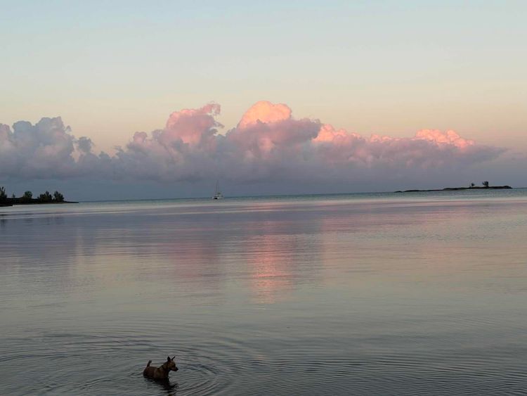 Voyage photo from Powell to ManJack 