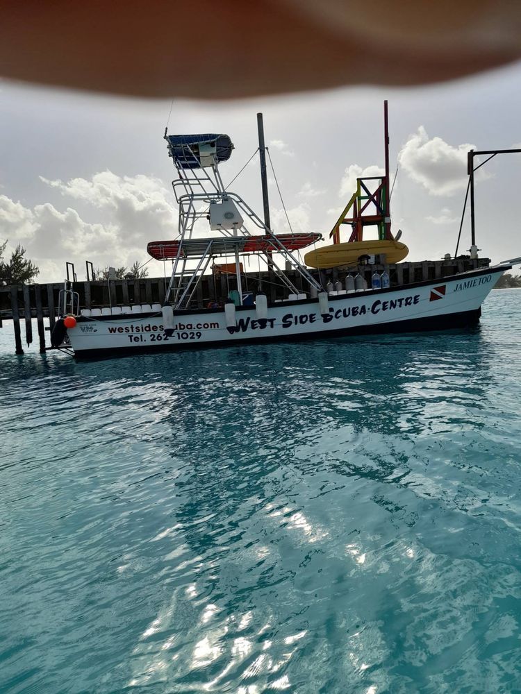 Voyage photo from Mindelo to Port St Charles, Barbados