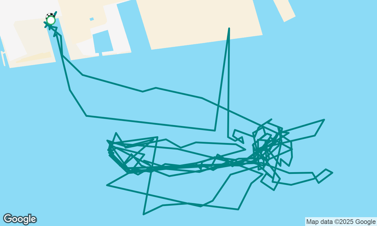 Gusty Race Night -Summer #3