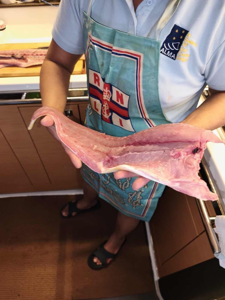 Voyage photo from Tenerife - Martinique