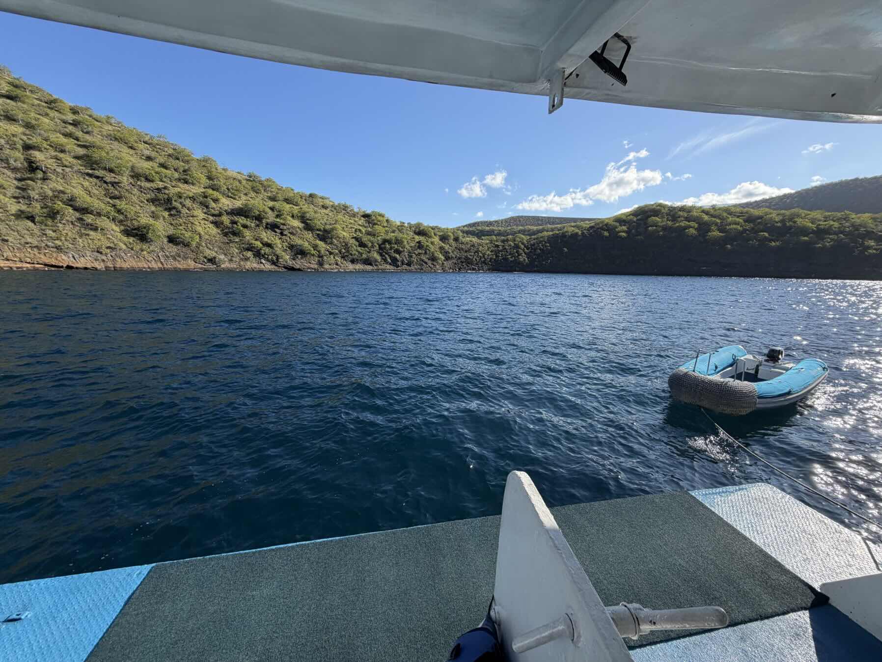 Punta Mangle to Tagus Cove_A107E232-1756-4CB9-8BCD-D086DD149658