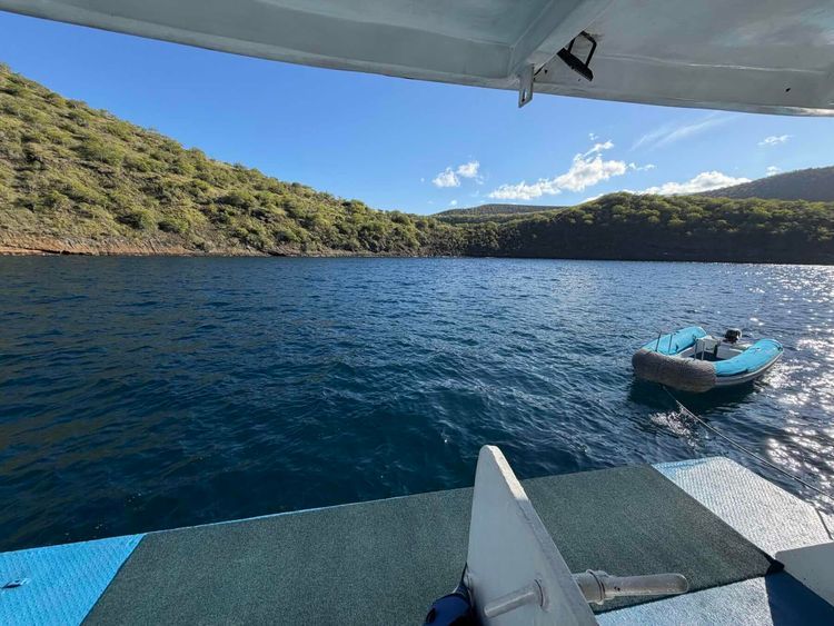 Voyage photo from Punta Mangle to Tagus Cove