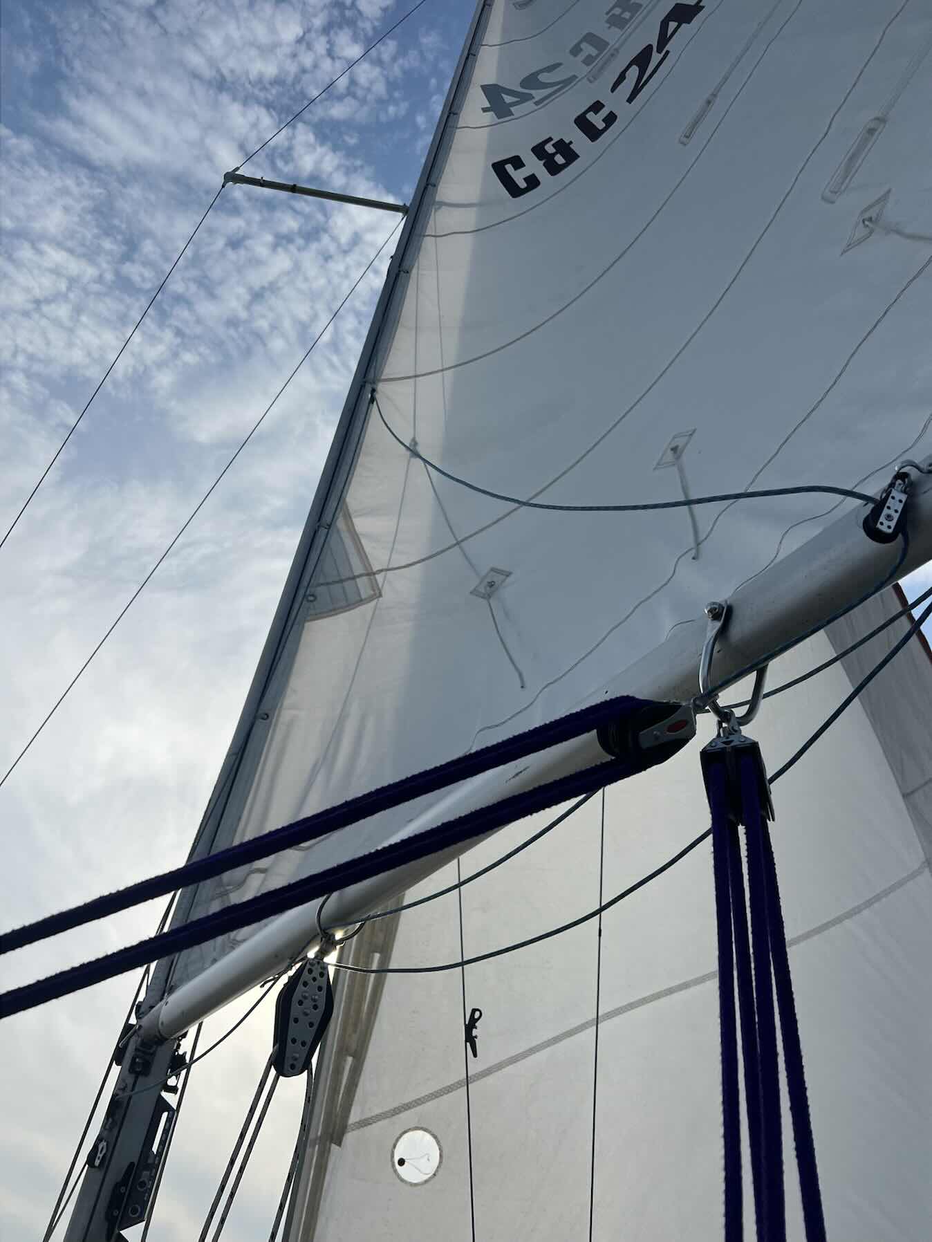 Sail with Joy_D4BD0BDD-9224-4F13-8E2A-D4FAFC4C5EF0