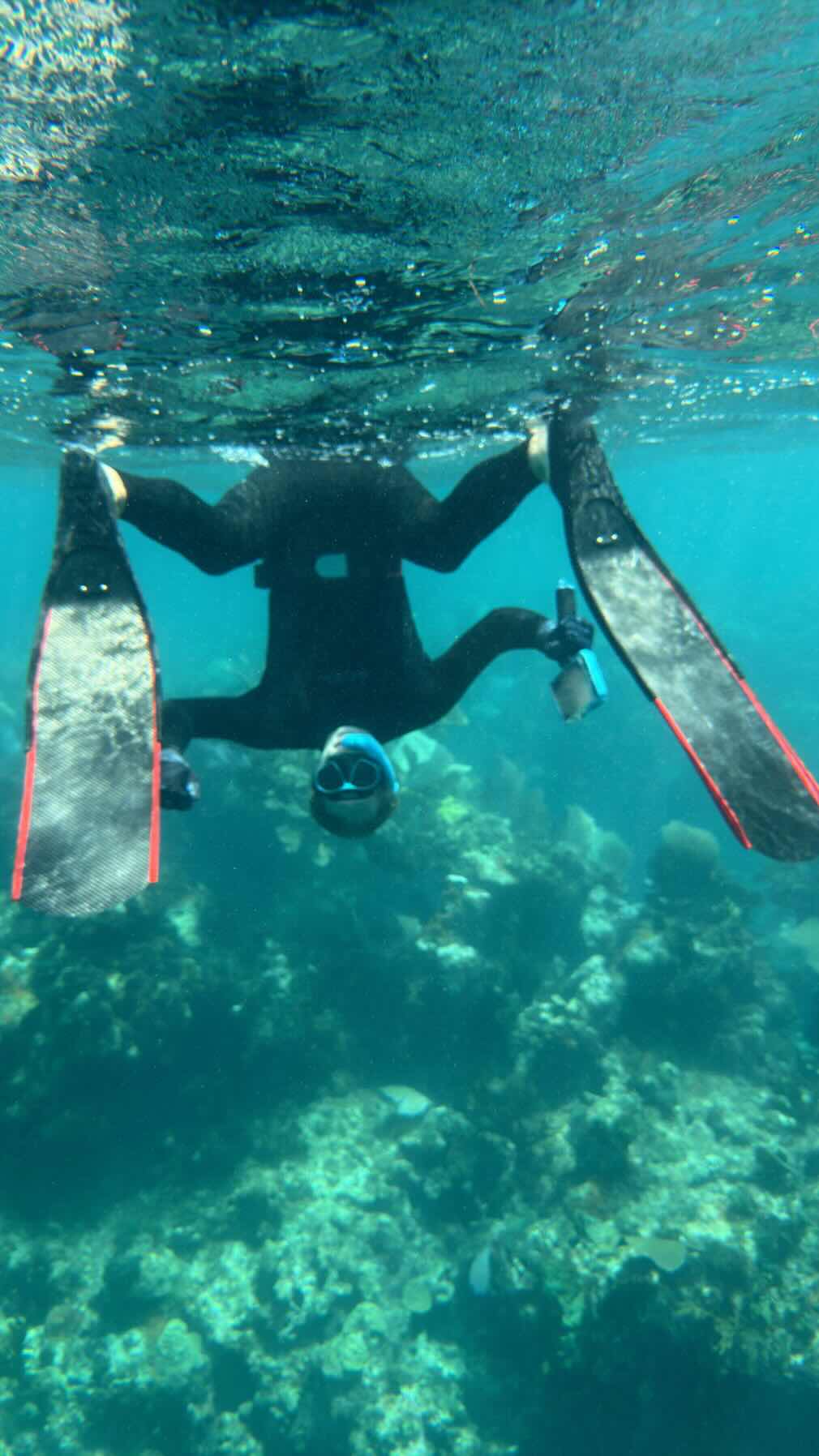 June 2026 start of back to FL trip - MOW Cay to Green Turtle with LOTS of stops and snorkeling/diving on the way_32164C98-A3CB-476E-B885-9398F64A05F3