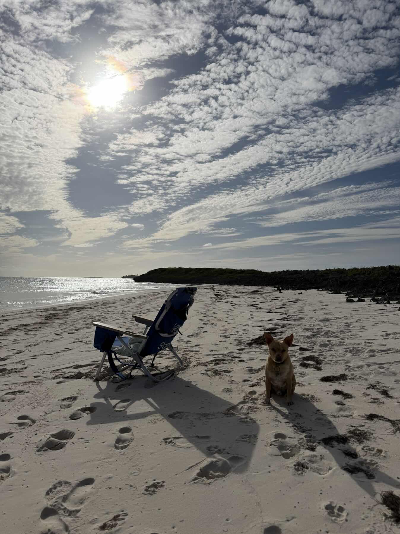 June 2026 start of back to FL trip - MOW Cay to Green Turtle with LOTS of stops and snorkeling/diving on the way_97DFFDC6-867F-47CC-96F2-CDA3DF44878E