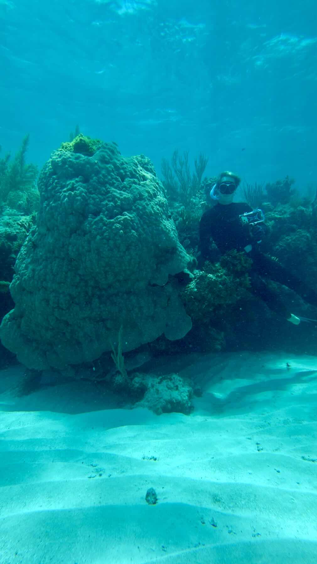 June 2026 start of back to FL trip - MOW Cay to Green Turtle with LOTS of stops and snorkeling/diving on the way_B39C0793-FF6B-4928-9193-AF6A54F50487