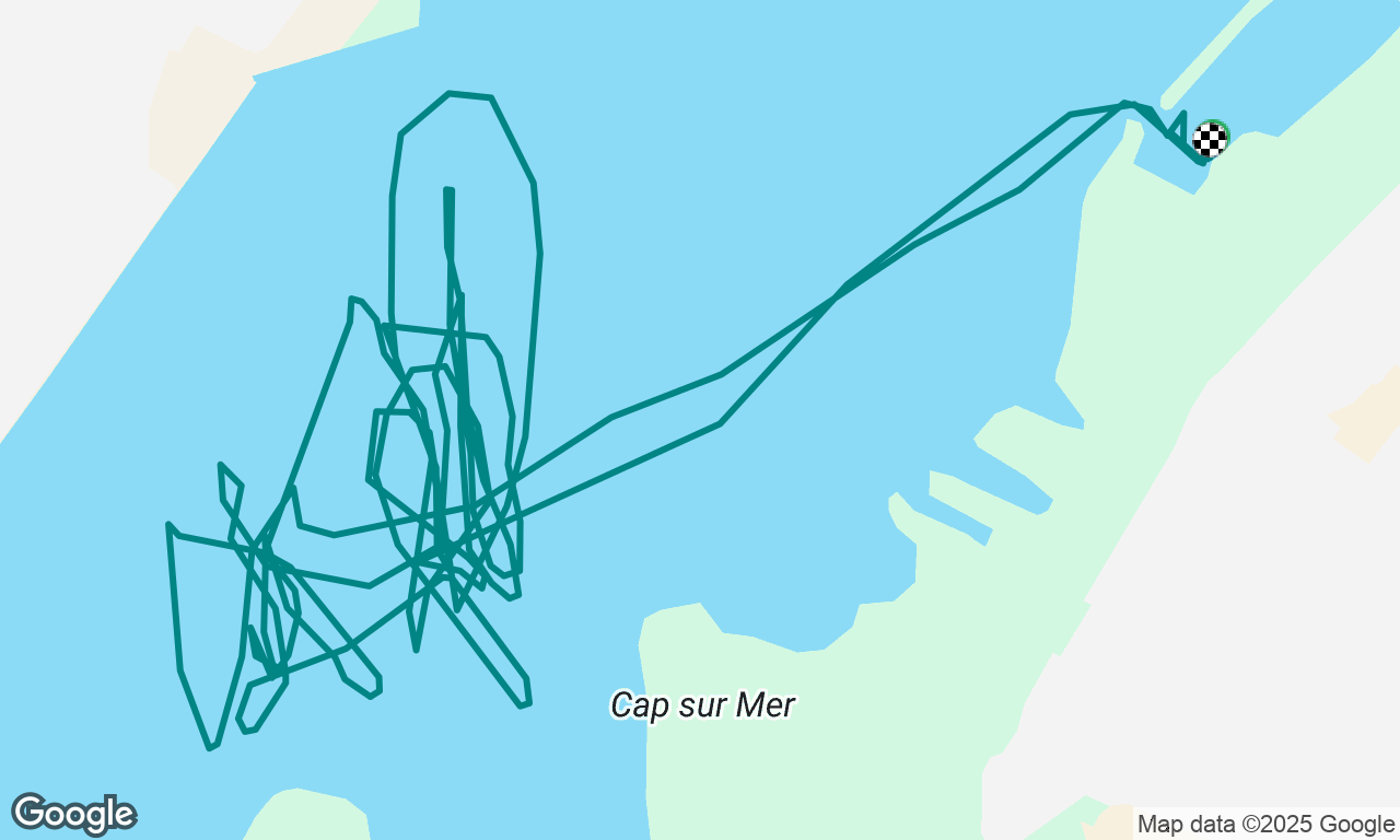 Sortie perfectionnement | Ohana Sailing