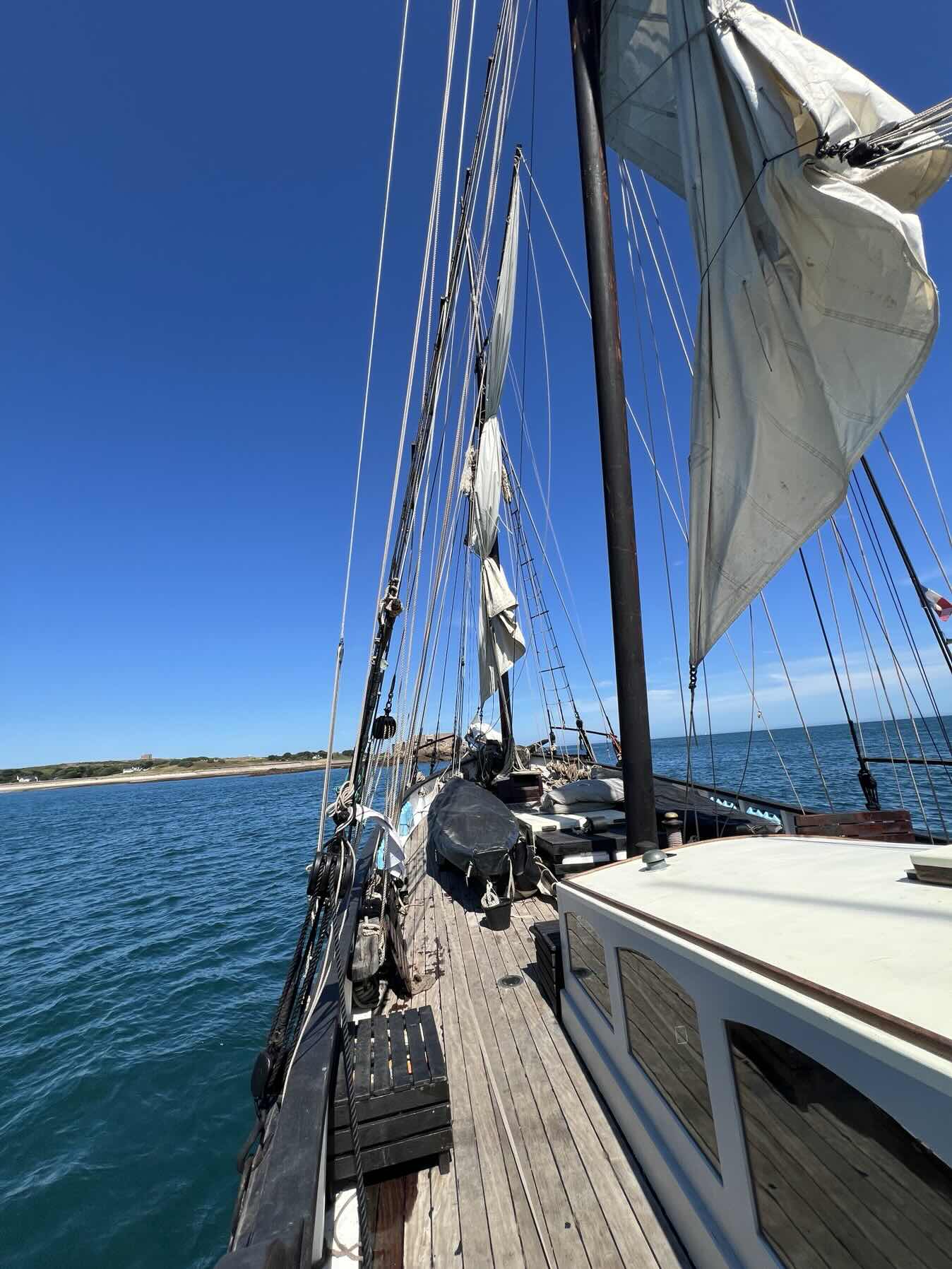 Voyage to Sail Amsterdam 2025_E92CDD75-56F0-403D-B449-766F135F016E